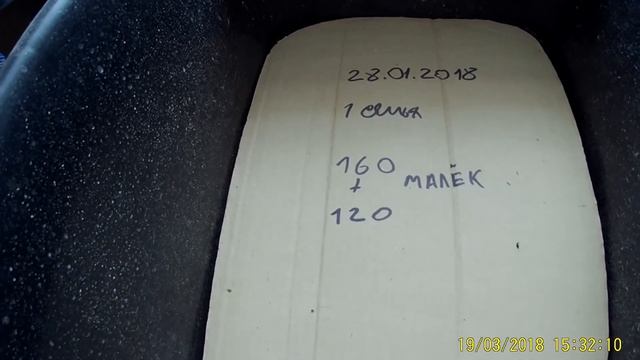 Червь Дендробена Винета смотреть онлайн