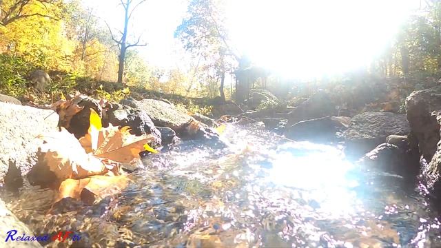 Fast Moving Stream of Water that helps Relieve Stress and Fall Asleep Easier смотреть онлайн
