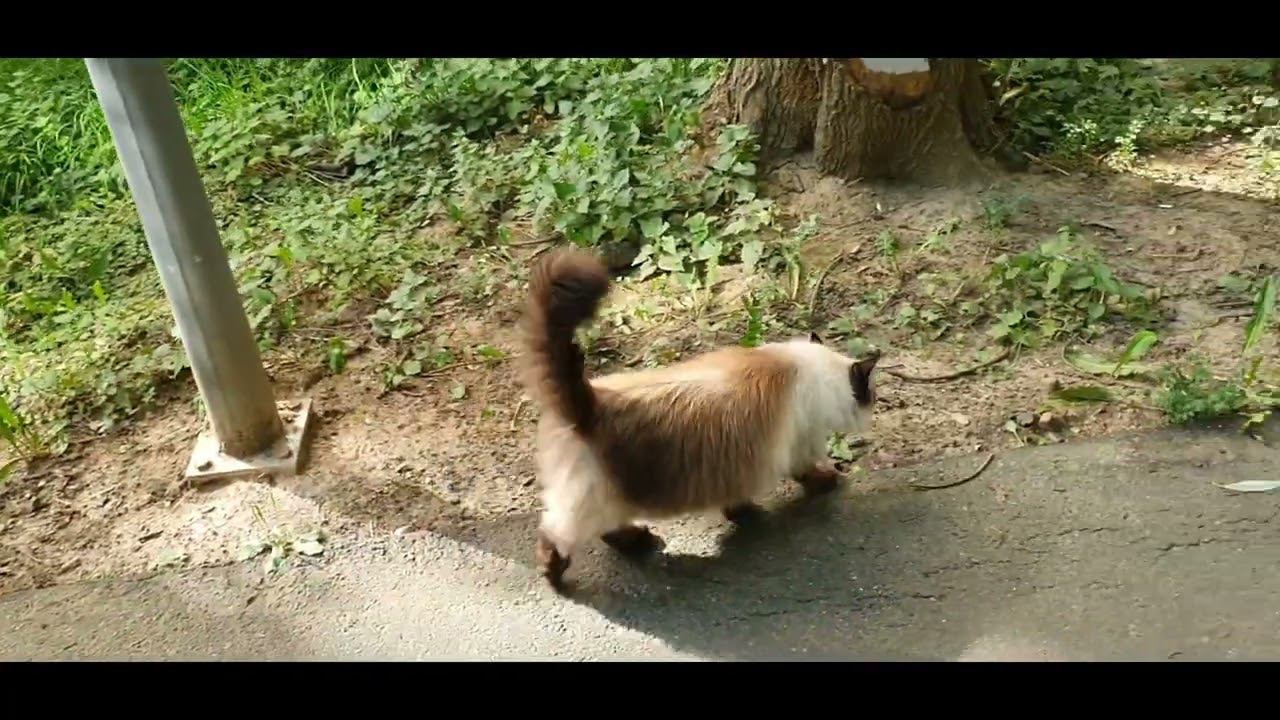 12 августа 2024 г. смотреть онлайн