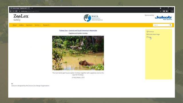 How To Build Realistic Habitats | Building Tips | Planet Zoo Hints, Tips & Tutorials | HOW TO! смотреть онлайн