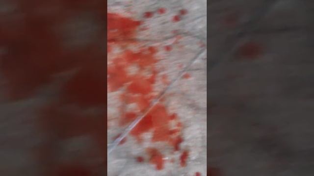 Кровь из головы смотреть онлайн