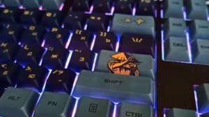 ОБЗОР КЛАВИАТУРЫ ARDOR GAMING WAKIZASHI | ИМБА ИЛИ ОВЦА В ВОЛЧЬЕЙ ШКУРЕ?