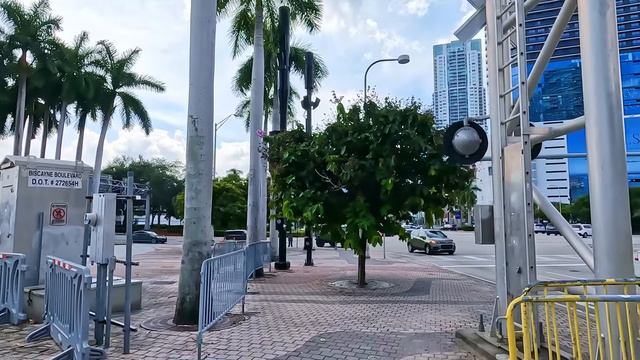 Miami Florida Walking Tour - 2024