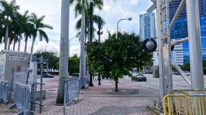 Miami Florida Walking Tour - 2024