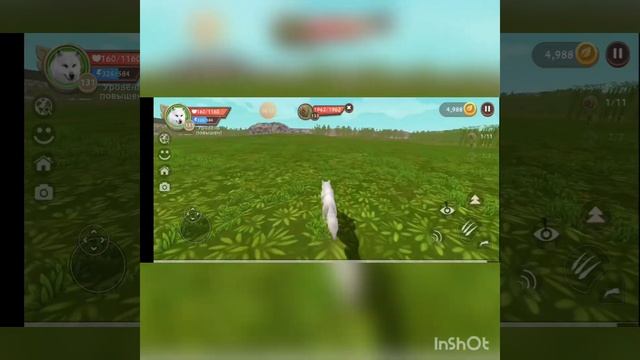 Выполняю квест в японском лесу за волков??? смотреть онлайн