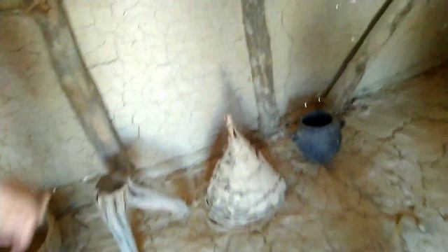 Нереальные дома, а вокруг озеро.Дом на воде 8-6 века до н.э.Охрид.Змеи под водой.. смотреть онлайн