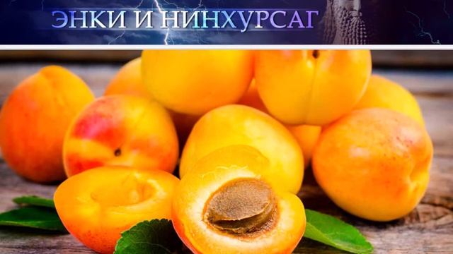 Месопотамская мифология: ЭНКИ И НИНХУРСАГ (Миф шумеров) смотреть онлайн