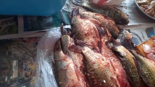 ЧИСТКА КАРАСЕЙ ЗАКОНЧЕНА ! ГОТОВЛЮ К ЖАРКЕ И К ЗАСОЛКЕ ДЛЯ ДАЛЬНЕЙШЕЙ СУШКИ ! смотреть онлайн