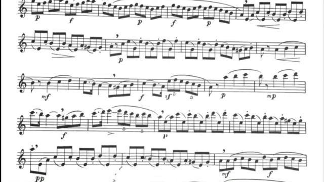G. Gariboldi - Etude No. 7 from 20 Small Etudes - Wei Zhao, flute смотреть онлайн