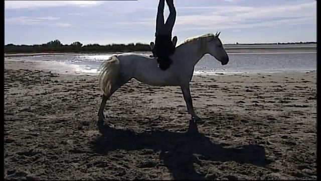 Жан Франсуа Пиньон и его свободные лошади. На пляже..VOB смотреть онлайн