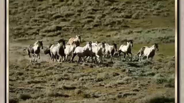 Polyushka Polye - Original Version смотреть онлайн