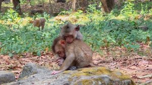 Poor baby Leo got exhausted and falling asleep with poor abandoned Dawn look very pitiful