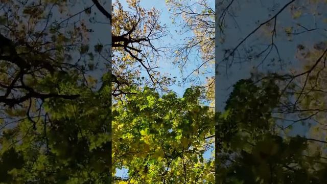 Набросок в альбом херувимских… смотреть онлайн