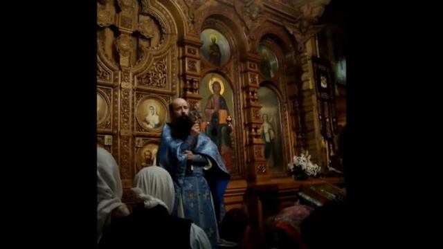 Проповедь иеромонаха Мефодия (Зинковского). Покрой всех близких, дорогих смотреть онлайн