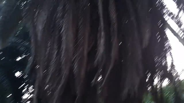 ЕСТЬ ЛИ ПОКЕМОНЫ В ГАГРЕ | РЕСТОРАН БЕЗ ГВОЗДЕЙ смотреть онлайн