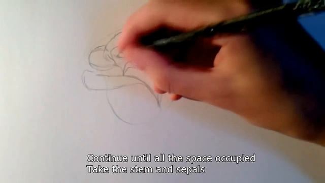 How to Draw a Rose - Easy tutorial смотреть онлайн