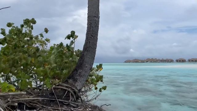 Сплав на каяках на остров Lavadhoo, Южный Атолл, Мальдивы. смотреть онлайн