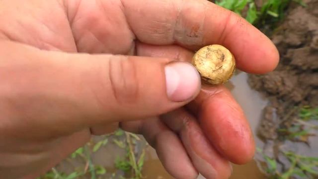 Монеты разных эпох. Находки с металлоискателем. смотреть онлайн