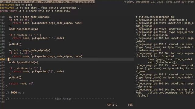 One-File Parser • Golang, PEGN, Linux, Vim, Tmux, LiveCoding смотреть онлайн