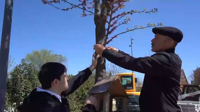 В парке «Боевая Слава» прошла экологическая акция «Покормите птиц» смотреть онлайн