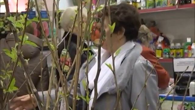 Вертимек от клеща – бьёт без промаха на всех стадиях развития клеща: яйца, личинки, взрослые особи! смотреть онлайн