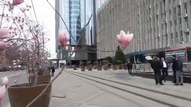 Ой, цветет магнолия ! смотреть онлайн