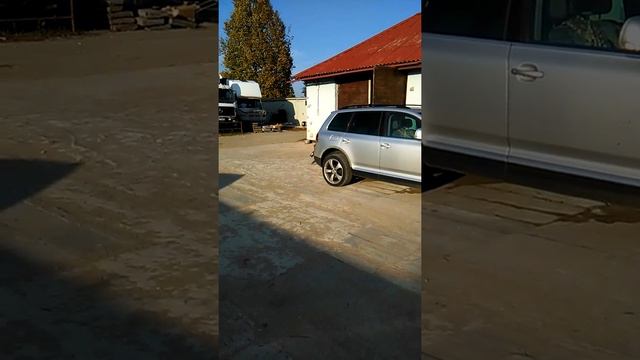 Обезьяна Гамадрил(1) смотреть онлайн