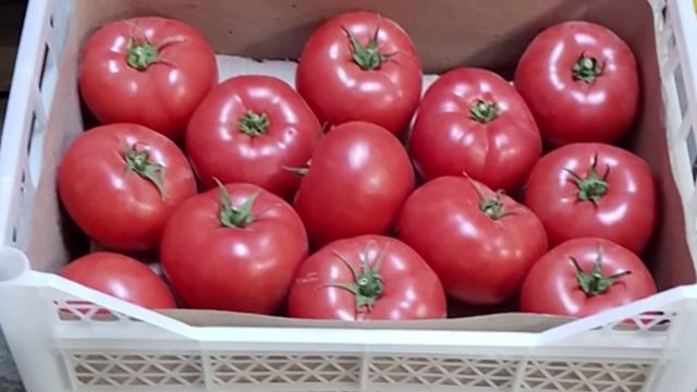 Россельхознадзором выявлена запрещенная к ввозу продукция смотреть онлайн