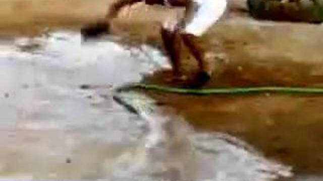 Бей! бей! её! смотреть онлайн