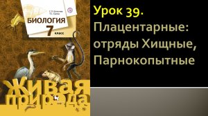 Урок 39. Плацентарные: отряды Хищные, Парнокопытные