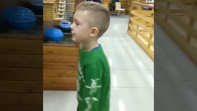 Трогательный зоопарк в Охта Молл 04.01.2017 смотреть онлайн