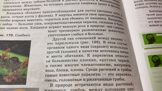 Биология/7 кл/ Биотические и антропогенные факторы/18.05.22 смотреть онлайн