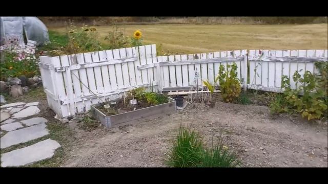 Обзор сада 22 сентября 2020 смотреть онлайн