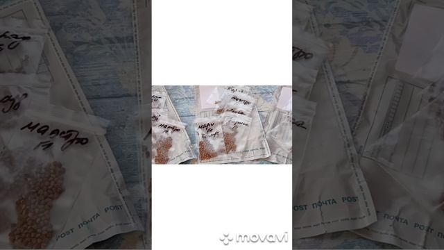 ВНИМАНИЕ!!! ТРИ НАБОРА ПРОФИ РЕДИСА ИЗ НОВИНОК // ВАЦАП ДЛЯ ЗАКАЗА 8-915-245-81-59 ПИСЬМЕННО смотреть онлайн