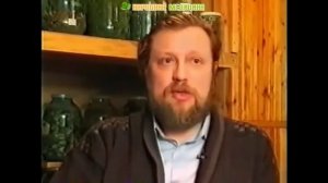 Трава пастушью сумка. Лечение, применение, свойства, рецепты народной медицины с пастушьей сумкой