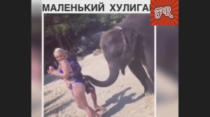 Маленький хулиган