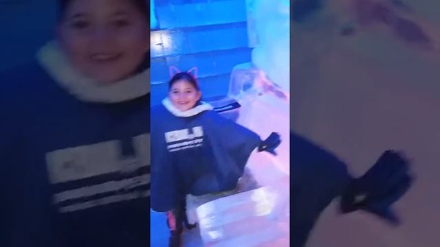 Ice bar Budapest(2) смотреть онлайн