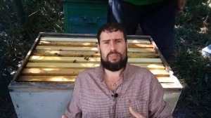 Как выбрать улей для пчел ЧАЙНИКУ. Толщина улья из чего делать улей Материал для