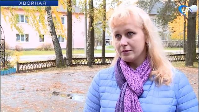 Активисты ОНФ проинспектировали ремонты дворов в поселке Хвойная смотреть онлайн