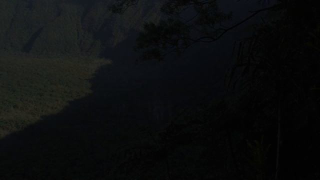 Microraptors and Pterosaurs, the first flying species смотреть онлайн