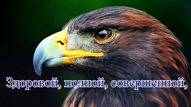 Галина Ключникова За год парящего Орла смотреть онлайн