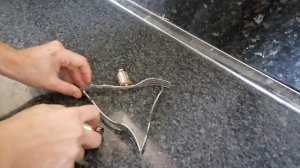 ЗАГАДОЧНЫЙ ЭКСПЕРИМЕНТ 3 ВИЛКИ ,БАТАРЕЙКИ И МОНЕТА