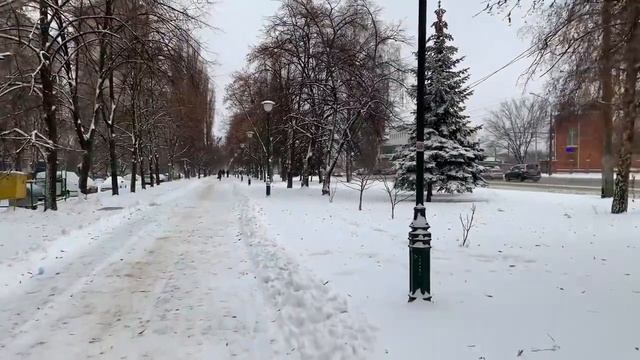 Ждем друзей в гости на Старый Новый год Харьков завалило снегом | АРИНА БЕЛАЯ смотреть онлайн