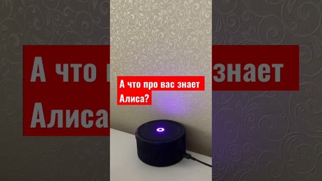 Что про вас знает АЛИСА? #алиса #яндекс смотреть онлайн