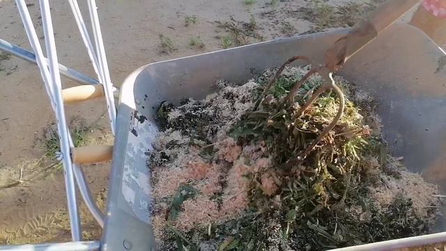 Строим грядку их досок. смотреть онлайн