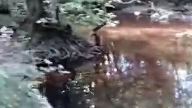 İstanbulun Gizemli Yerleri смотреть онлайн