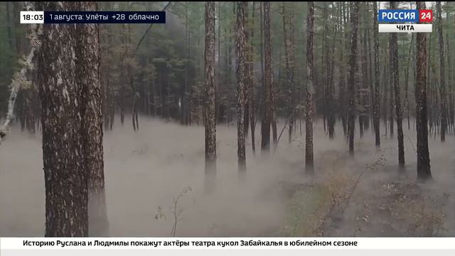 ГТРК Чита Новости Забайкалья - За сутки ликвидировано три очага возгорания на землях лесного фонда смотреть онлайн