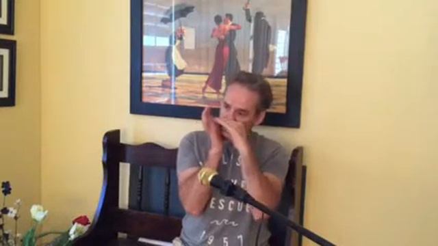 Seydel Harmonica The Rose смотреть онлайн