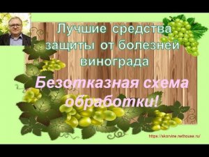 Лучшие средства защиты от болезней винограда. Часть 2. Безотказная схема обработки