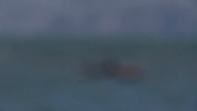 Вот это скорость! смотреть онлайн